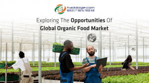 Exploring The Opportunities Of Global Organic Food Export Market 